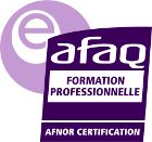 AFAQ, FP Conseil - Formations Sécurité et prévention des risques Professionnels à Lyon